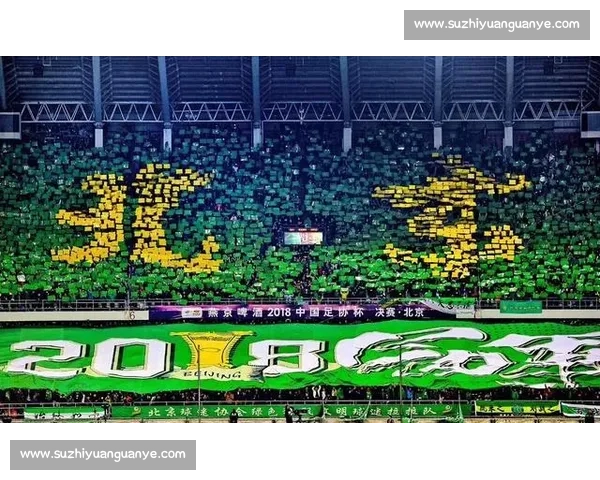 乐山球迷太会了!TIFO 映大佛,呐喊震球场 乐山球迷太会了!TIFO 映大佛,呐喊震球场