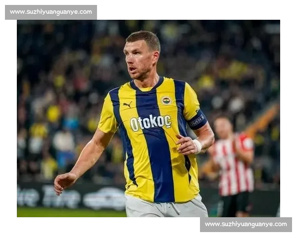 哲科抵意完成体检!自由身加盟佛罗伦萨签约在即 哲科抵意完成体检!自由身加盟佛罗伦萨签约在即