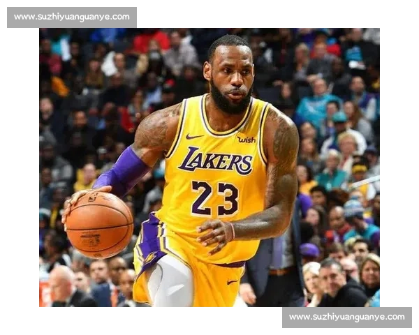 湖人新主豪掷千金，詹皇冲冠再添强援！